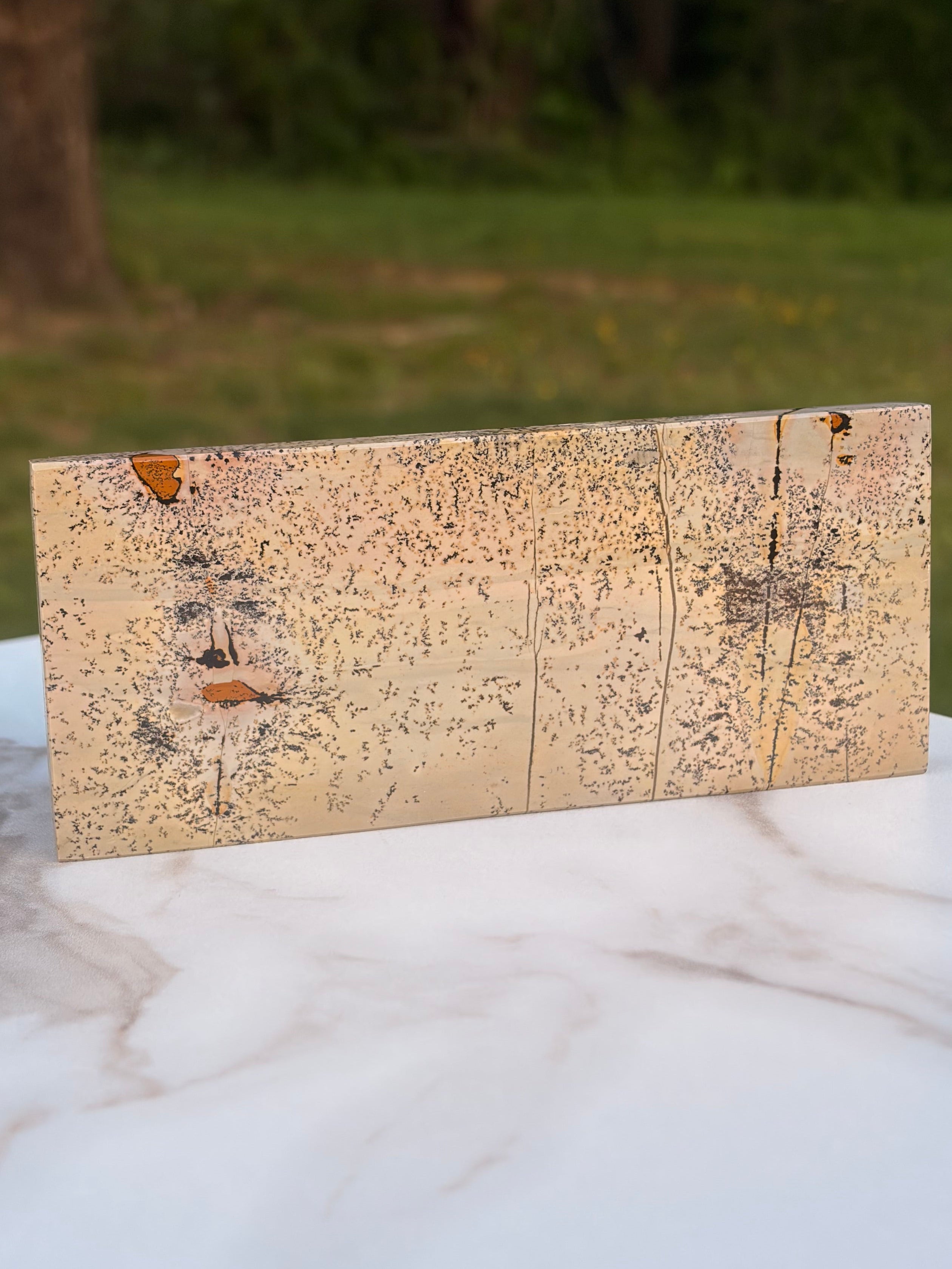 Picture Jasper Self-Standing