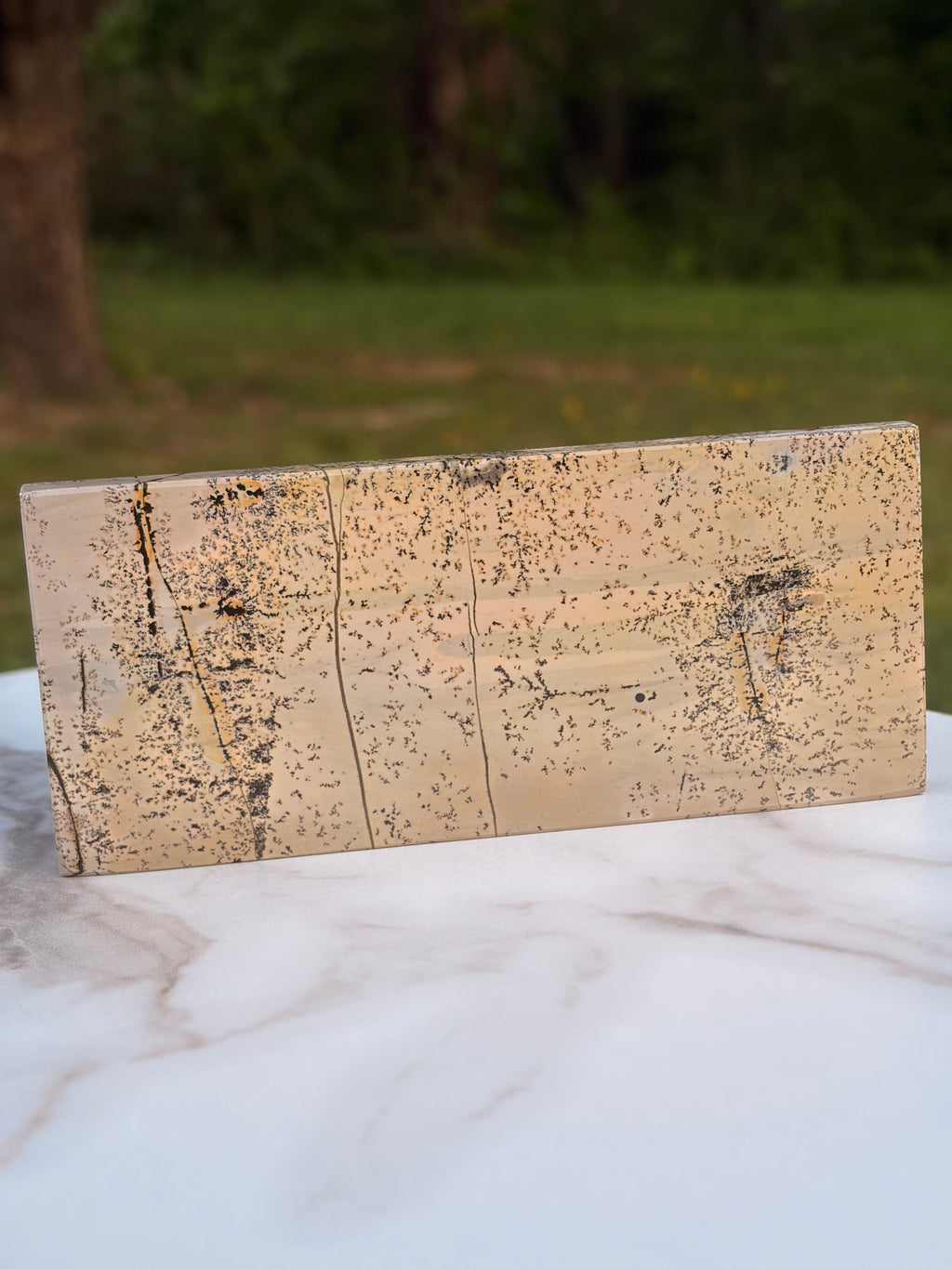 Picture Jasper Self-Standing
