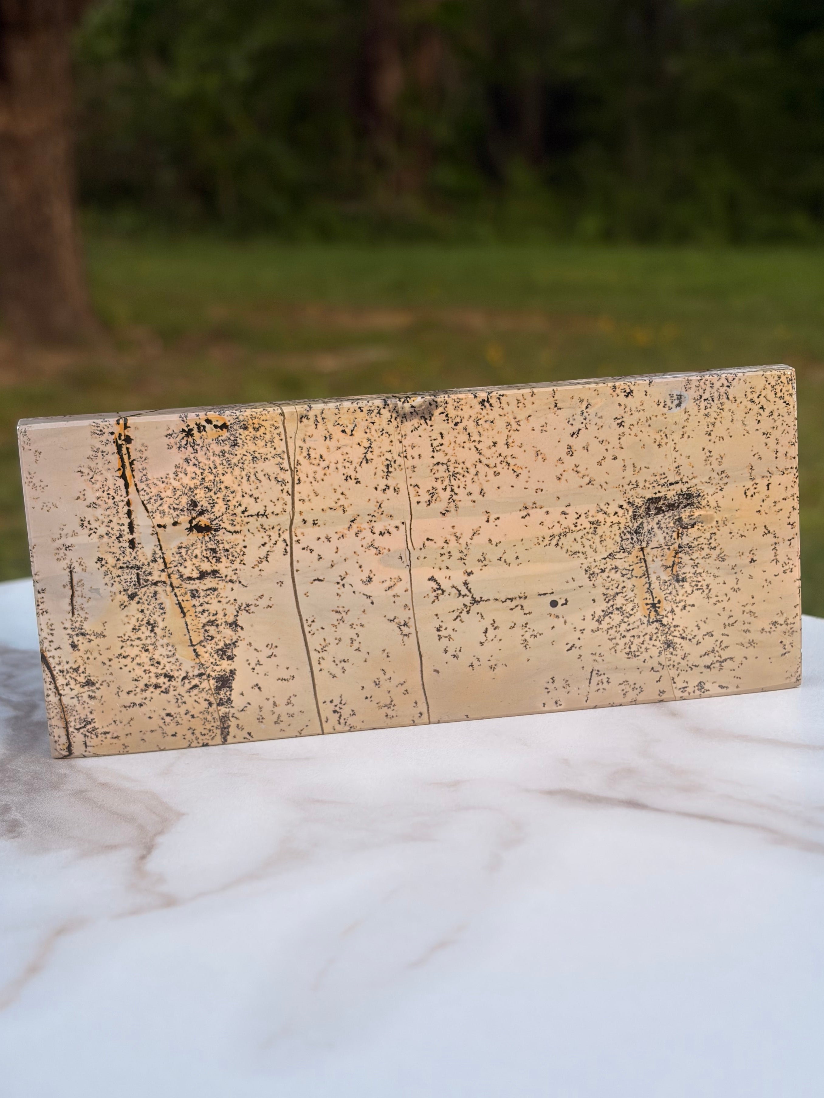 Picture Jasper Self-Standing