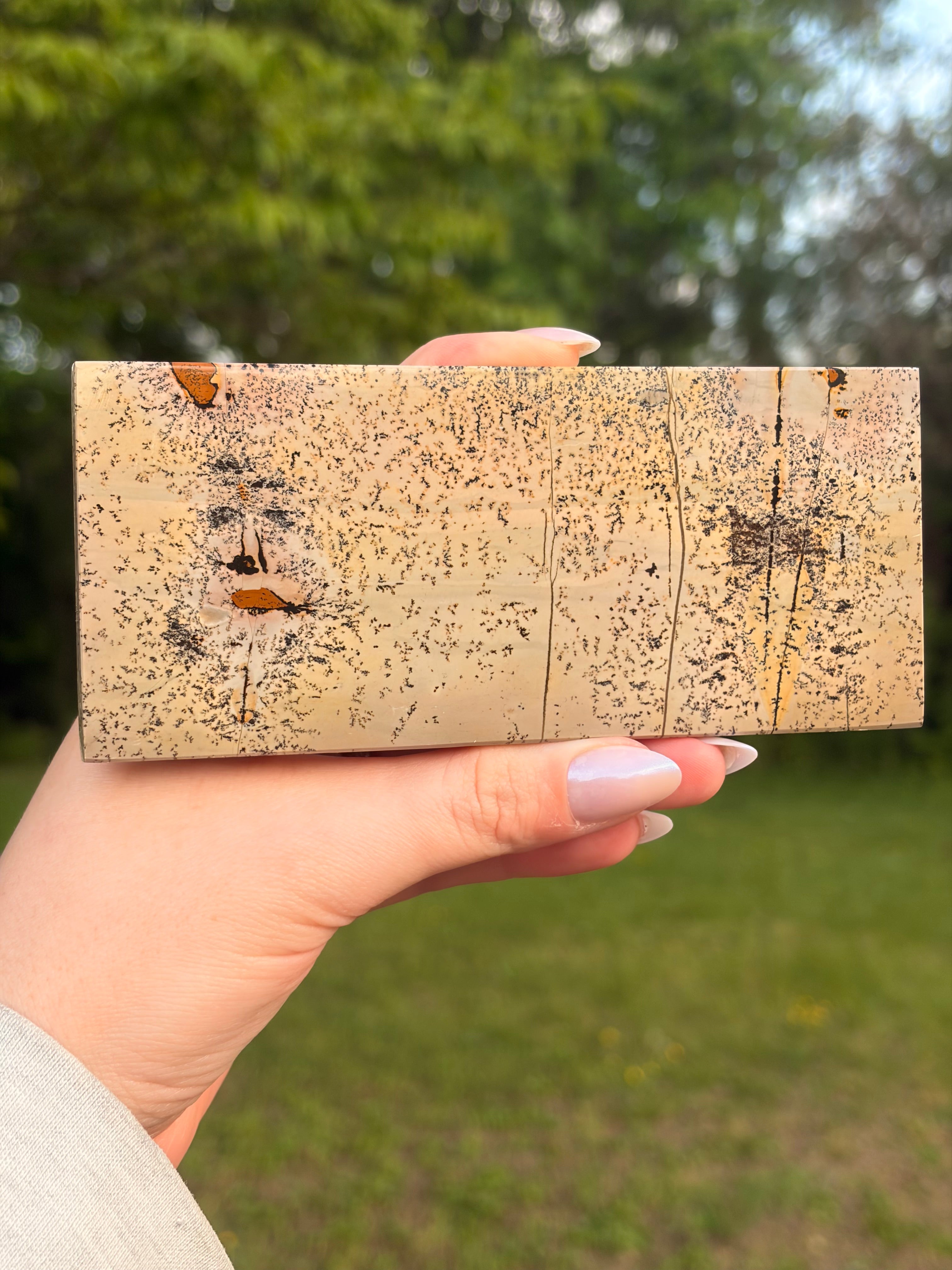 Picture Jasper Self-Standing