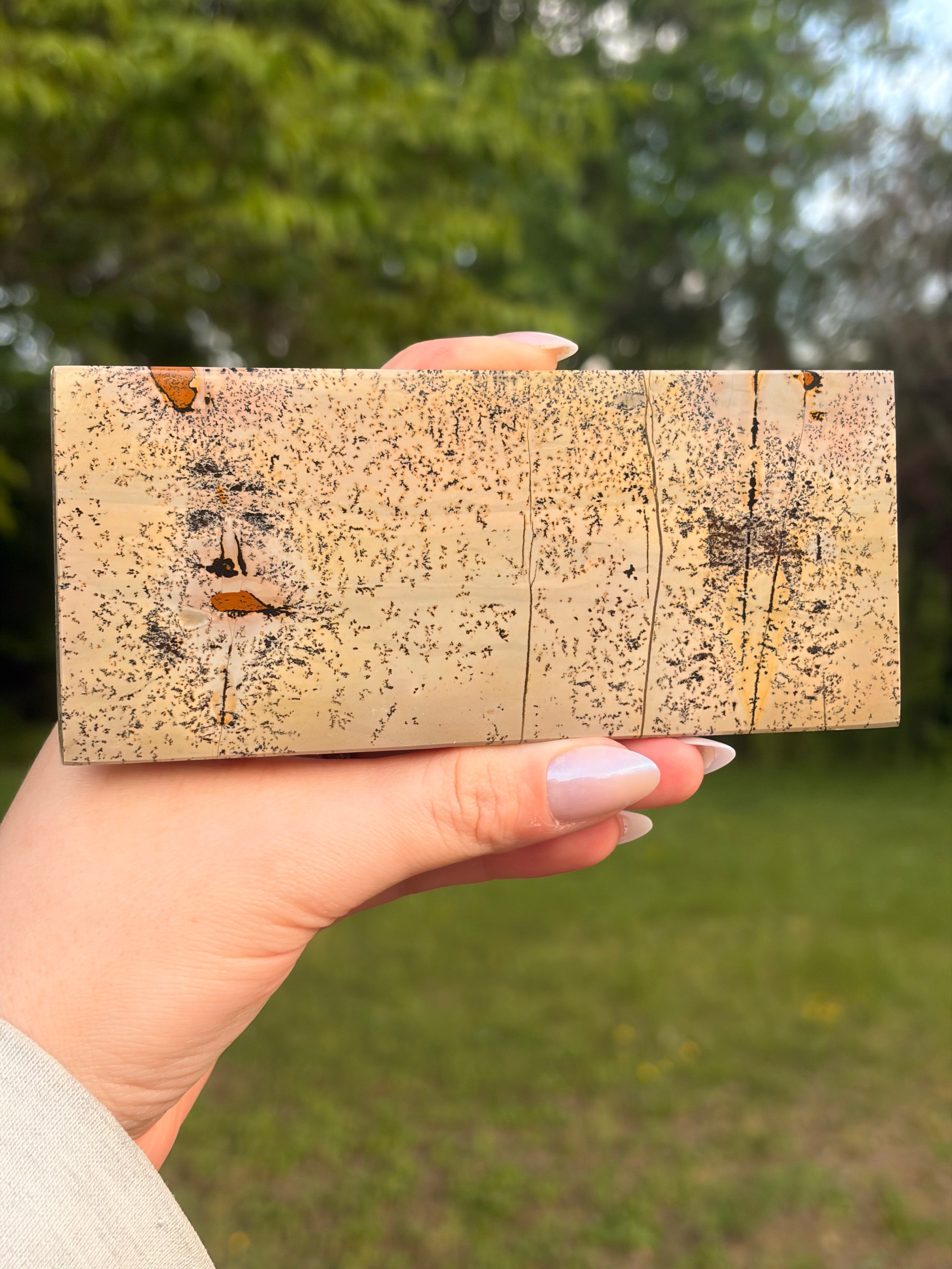 Picture Jasper Self-Standing
