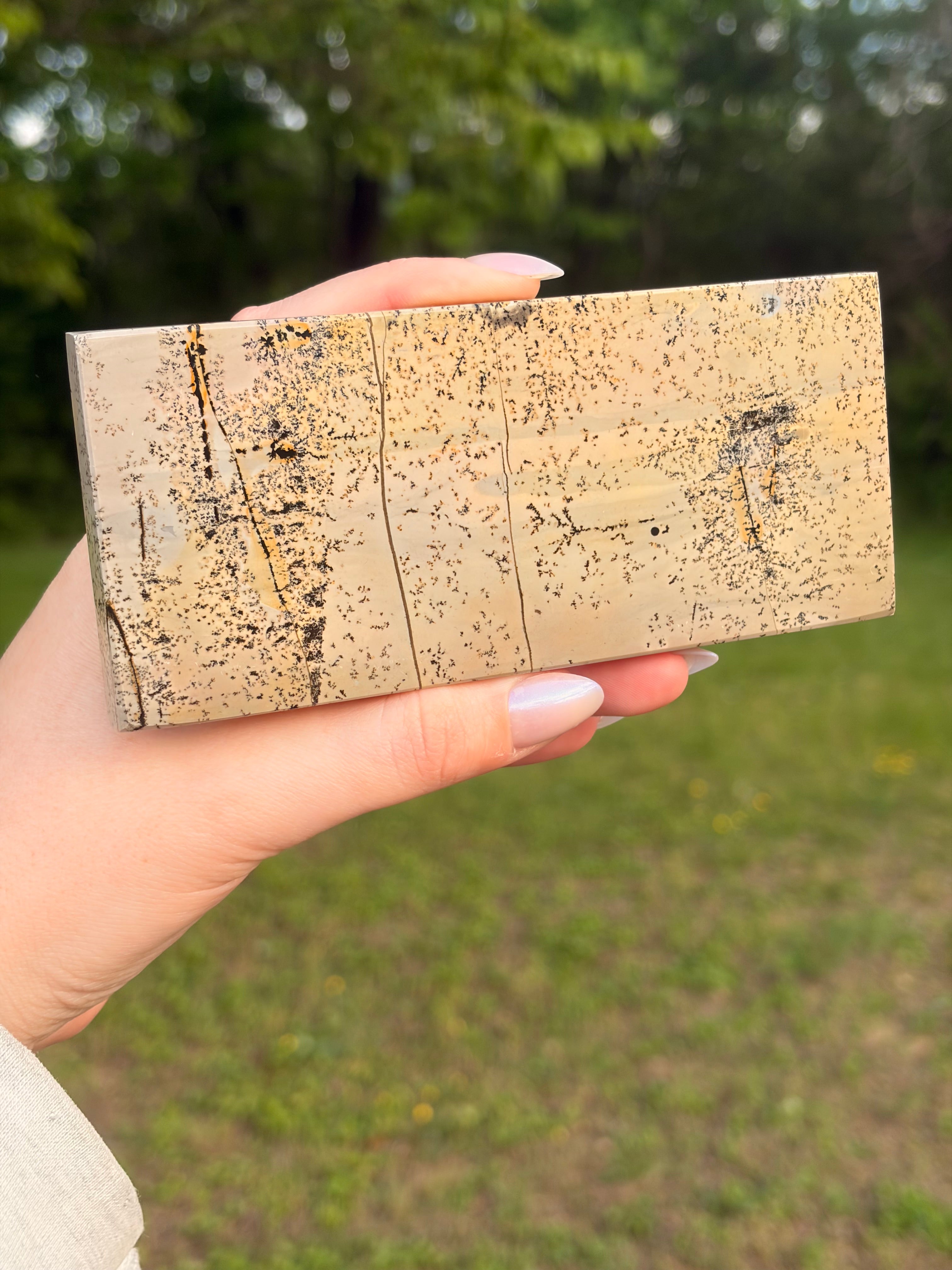 Picture Jasper Self-Standing