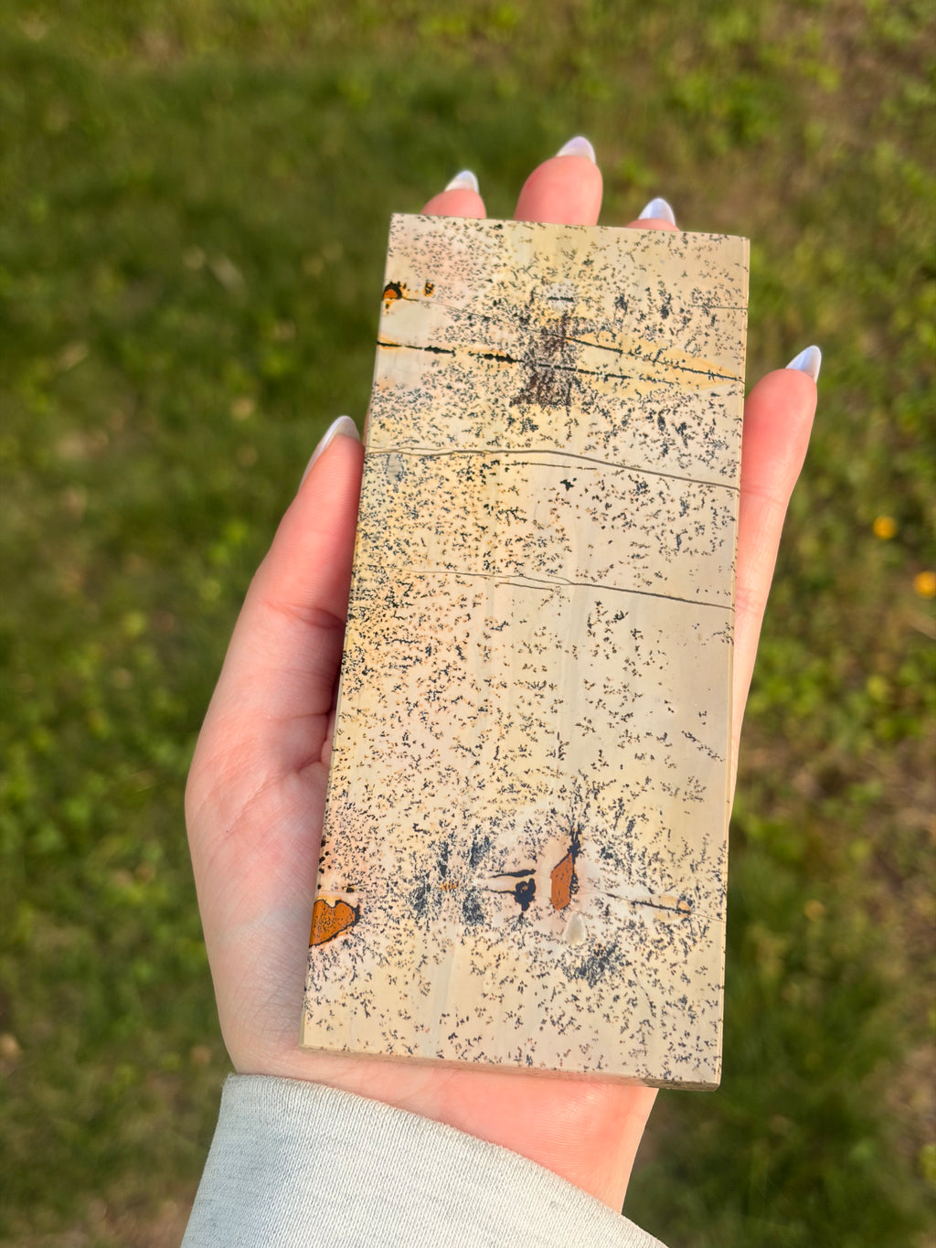 Picture Jasper Self-Standing