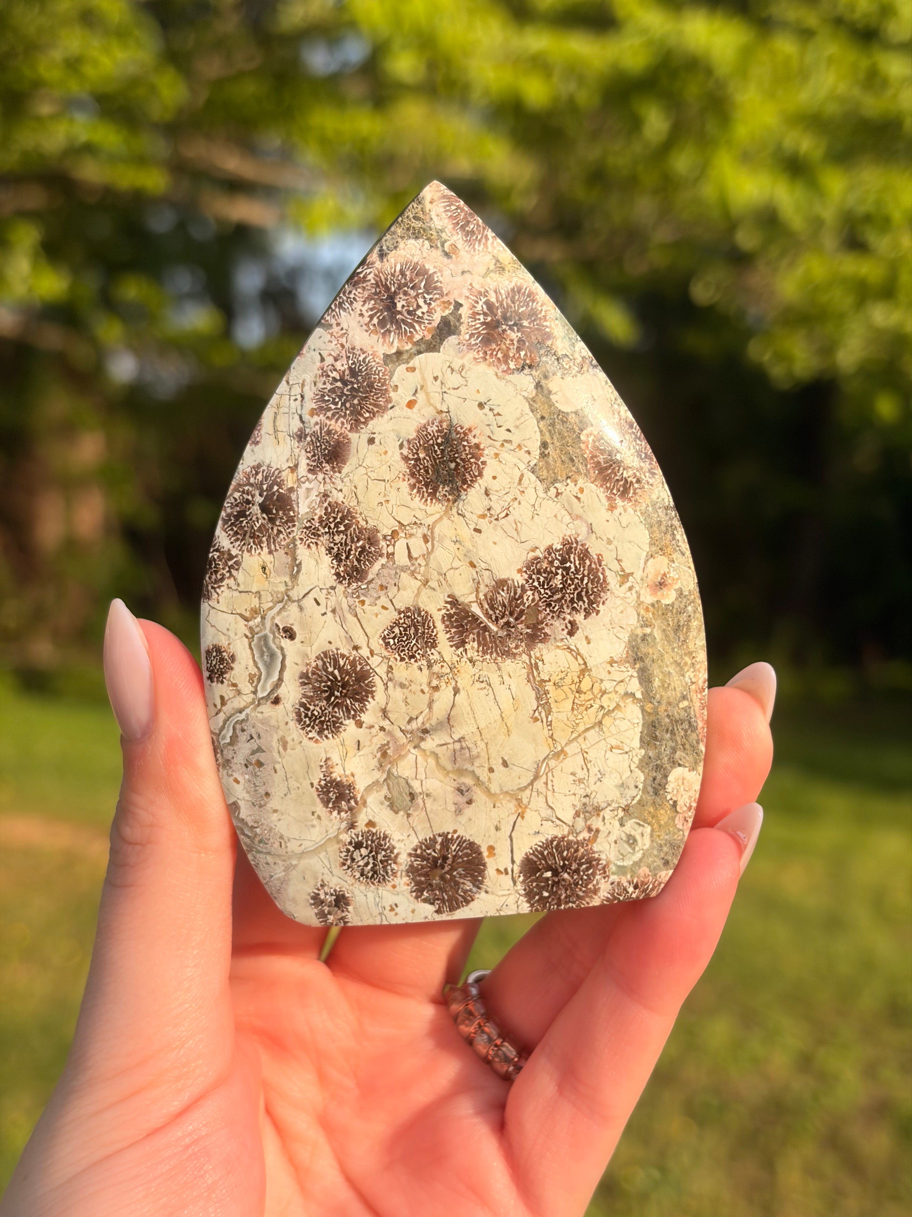 Green Flower Jasper Freeform