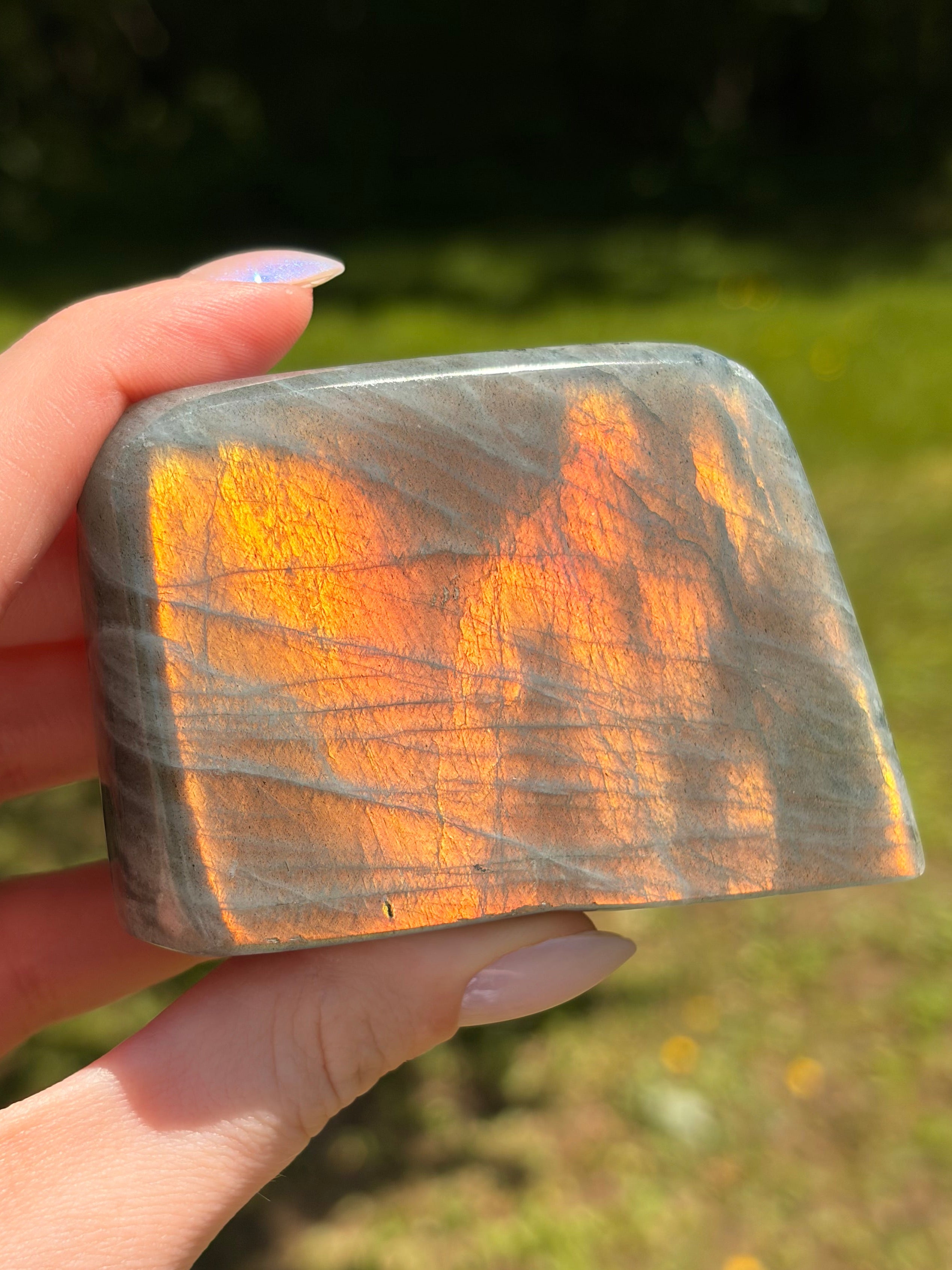 Labradorite Freeform - Small