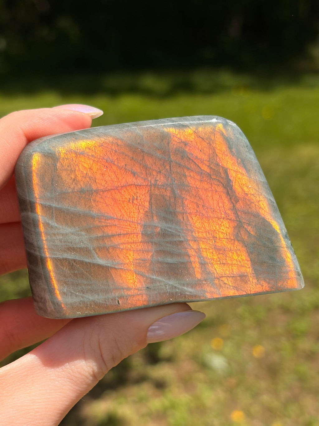 Labradorite Freeform - Small