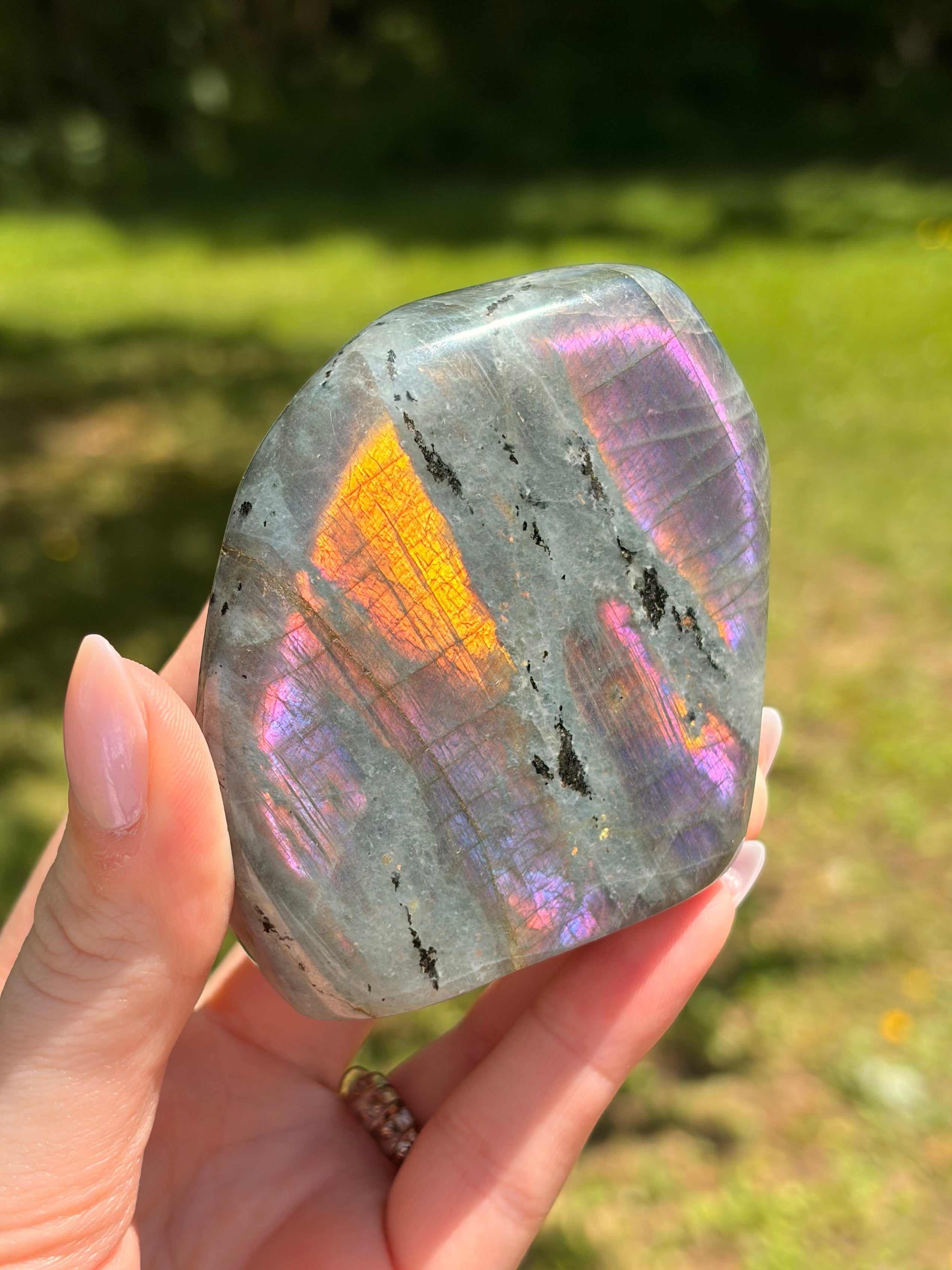 Labradorite Freeform - Medium