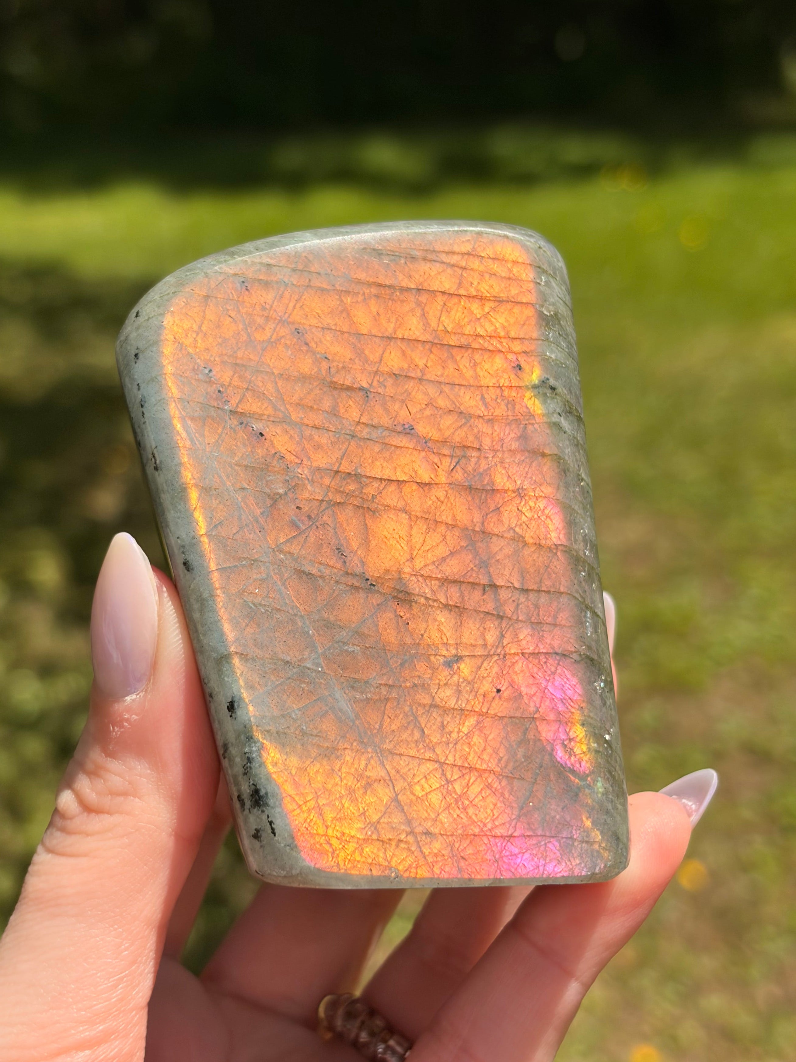 Labradorite Freeform - Medium