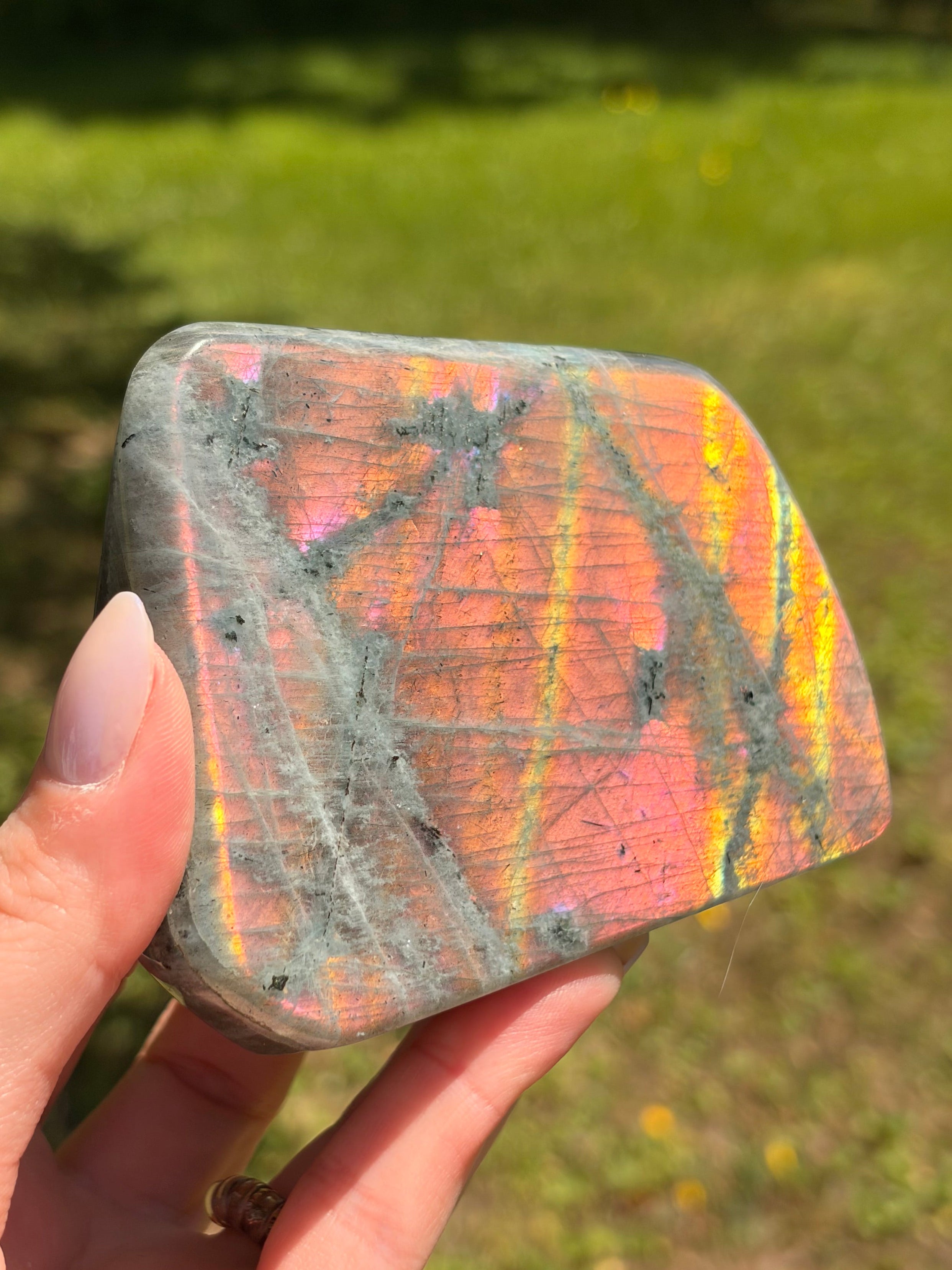 Labradorite Freeform - Medium
