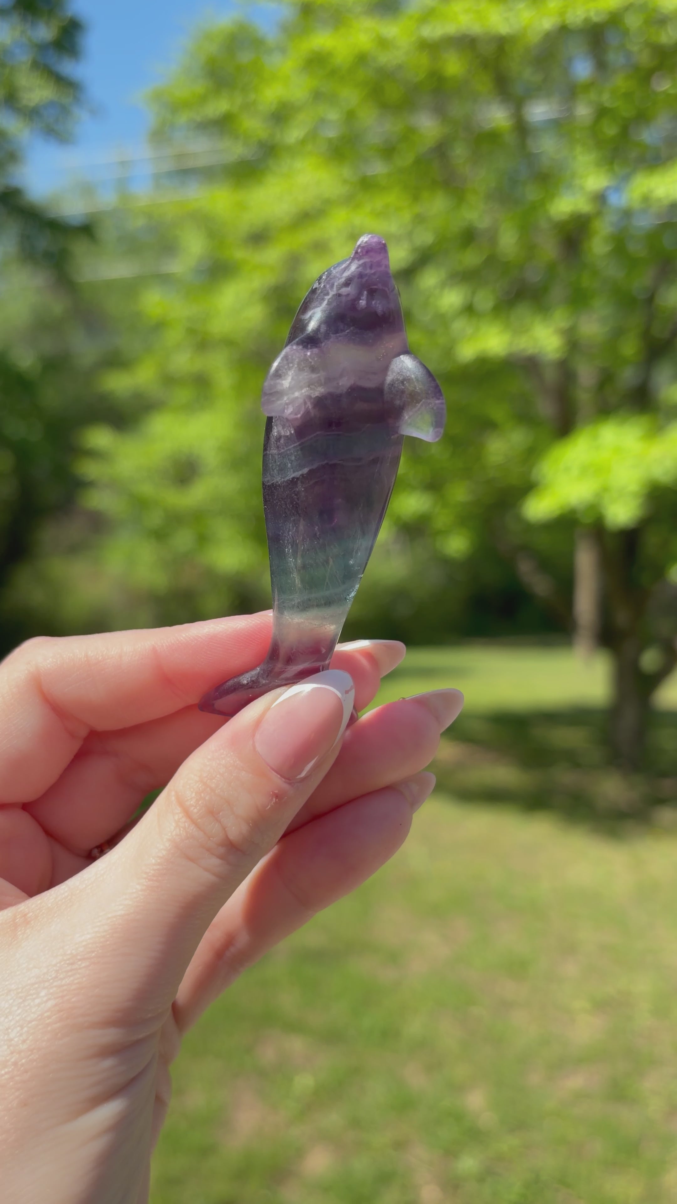 Purple Fluorite Dolphin Carving